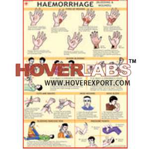 Haemorrhage (Bleeding & Wounds)