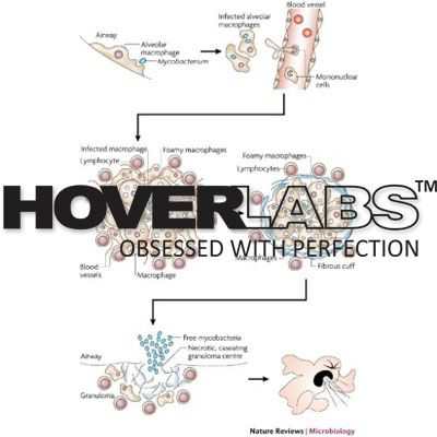 Mycobacterium Species Model