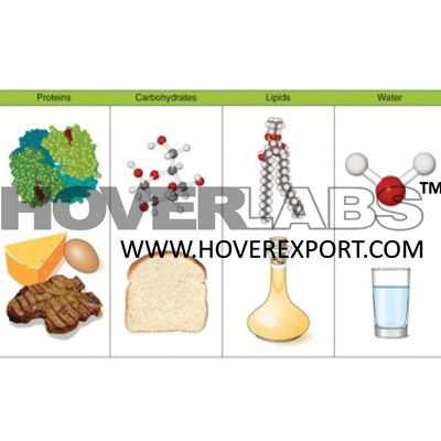 Nutrients Model