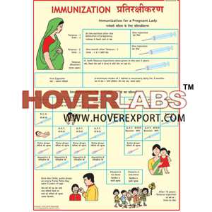 Immunization Chart