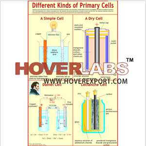 Different Kinds of Primary Cells