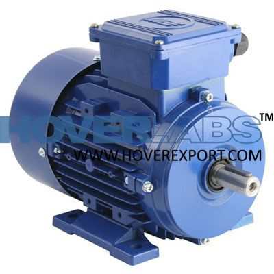 AC split phase motor